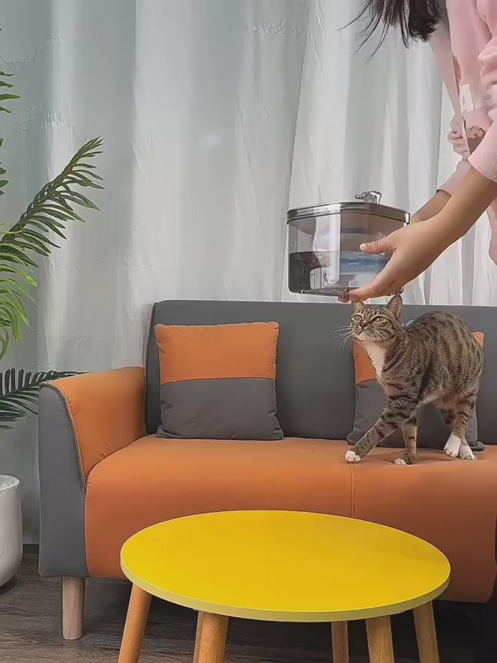 Stainless Steel Automatic Pet Water Fountain for Cats and Dogs